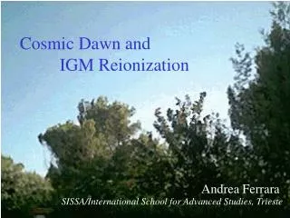 Cosmic Dawn and IGM Reionization