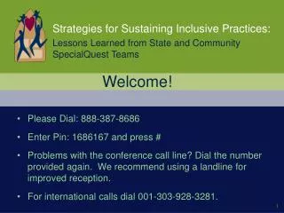 Strategies for Sustaining Inclusive Practices:
