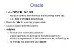 Oracle - slide 1