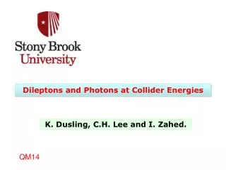 Dileptons and Photons at Collider Energies