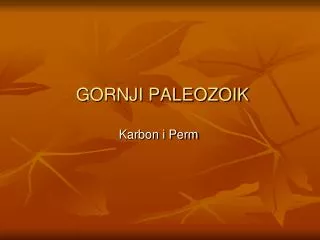 gornji paleozoik