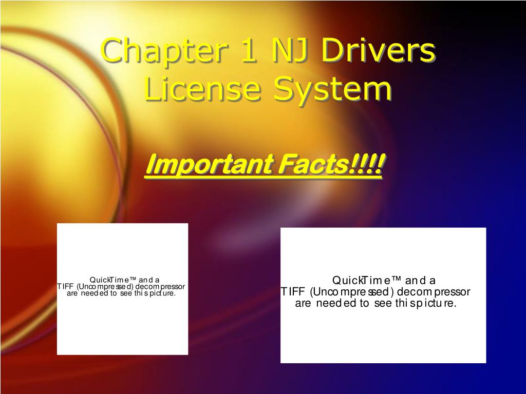 PPT - Chapter 1 NJ Drivers License System PowerPoint Presentation, free ...