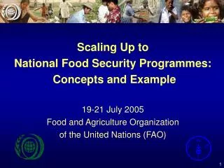 Scaling Up to National Food Security Programmes: Concepts and Example 19-21 July 2005