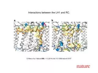 S Niwa et al. Nature 000 , 1-5 (2014) doi:10.1038/nature13197