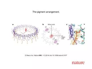 S Niwa et al. Nature 000 , 1-5 (2014) doi:10.1038/nature13197