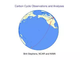 Carbon Cycle Observations and Analyses