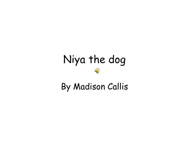 niya the dog