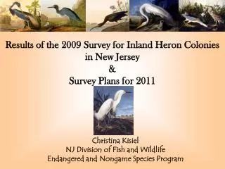 Results of the 2009 Survey for Inland Heron Colonies in New Jersey &amp; Survey Plans for 2011