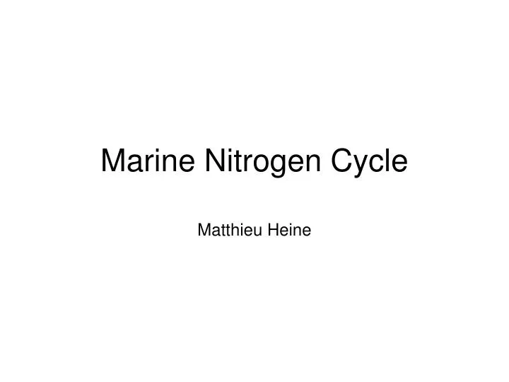 marine nitrogen cycle