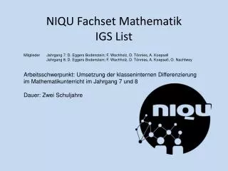niqu fachset mathematik igs list