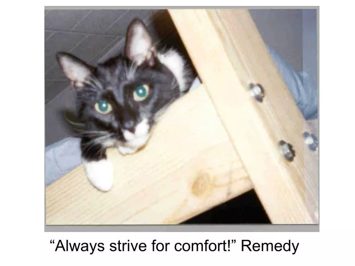 always strive for comfort remedy