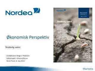 konomisk perspektiv