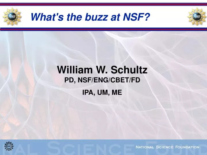 what s the buzz at nsf