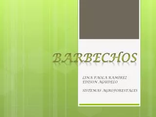 lina paola ramirez edison agudelo sistemas agroforestales