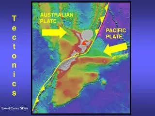 PACIFIC PLATE