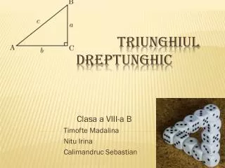 Triunghiul Dreptunghic