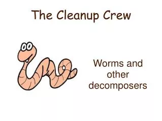 The Cleanup Crew