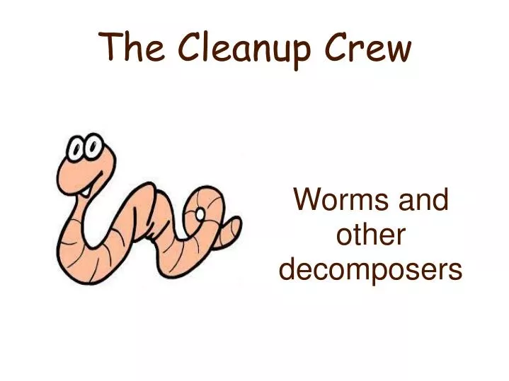 worms and other decomposers