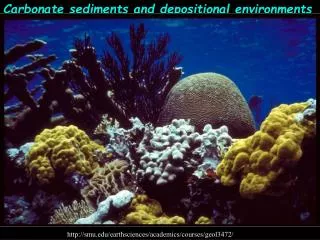 Carbonate sediments and depositional environments