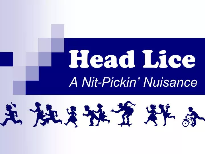 head lice a nit pickin nuisance