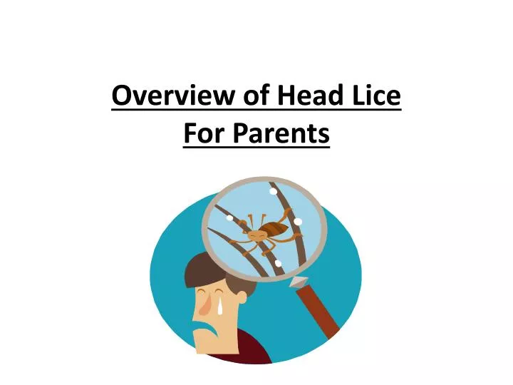 overview of head lice for parents