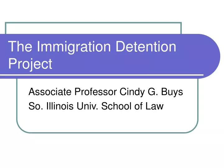 the immigration detention project