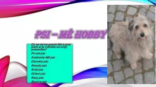 psi m hobby