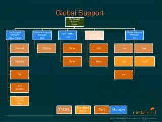 Global Support