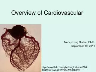 Overview of Cardiovascular