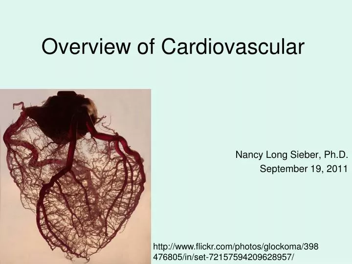 overview of cardiovascular