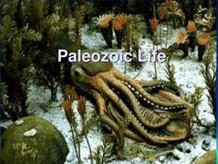 paleozoic life