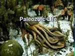 Paleozoic Life - slide 1