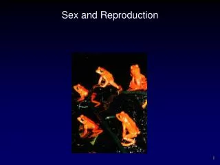 sex and reproduction