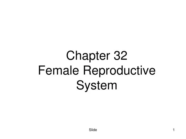 chapter 32 female reproductive system
