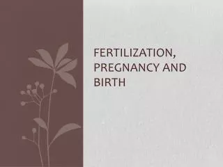Fertilization, Pregnancy and birth