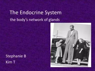 The Endocrine System