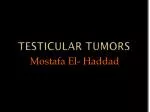 Testicular tumors
