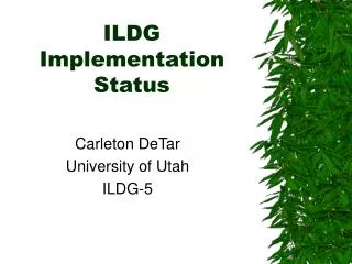 ILDG Implementation Status
