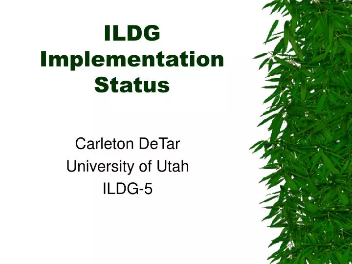 ildg implementation status
