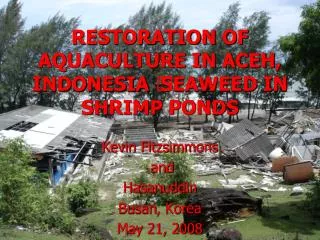 RESTORATION OF AQUACULTURE IN ACEH, INDONESIA ? SEAWEED IN SHRIMP PONDS