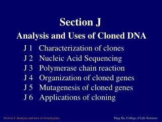 J 1 Characterization of clones