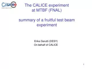 The CALICE experiment at MTBF (FNAL) summary of a fruitful test beam experiment
