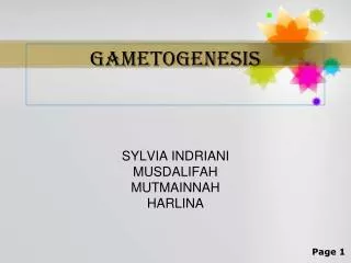 gametogenesis