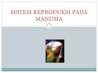 sistem reproduksi pada manusia