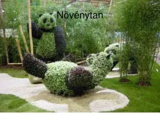 n v nytan