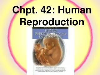 Chpt. 42: Human Reproduction