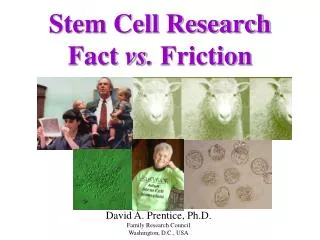 Stem Cell Research Fact vs. Friction