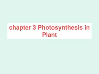 chapter 3 photosynthesis in plant