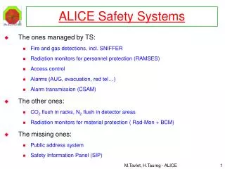 ALICE Safety Systems