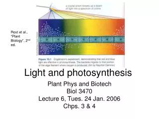 Light and photosynthesis